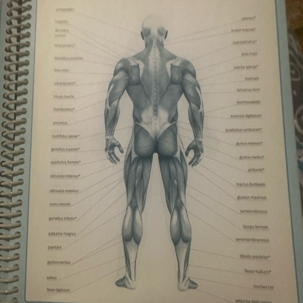 Yellow Workout Journal - Picture 5 of 9